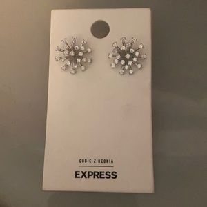 Express Earrings